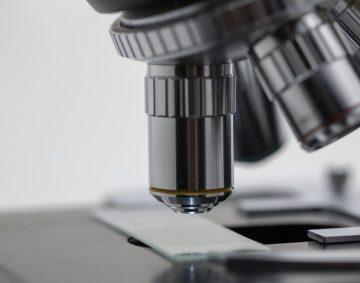 Research Killing Projects