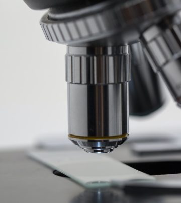 Research Killing Projects